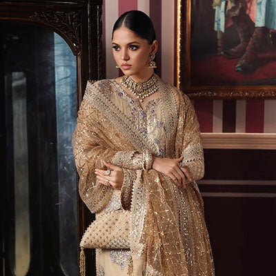 Roheenaz Luxury Chiffon Dress
