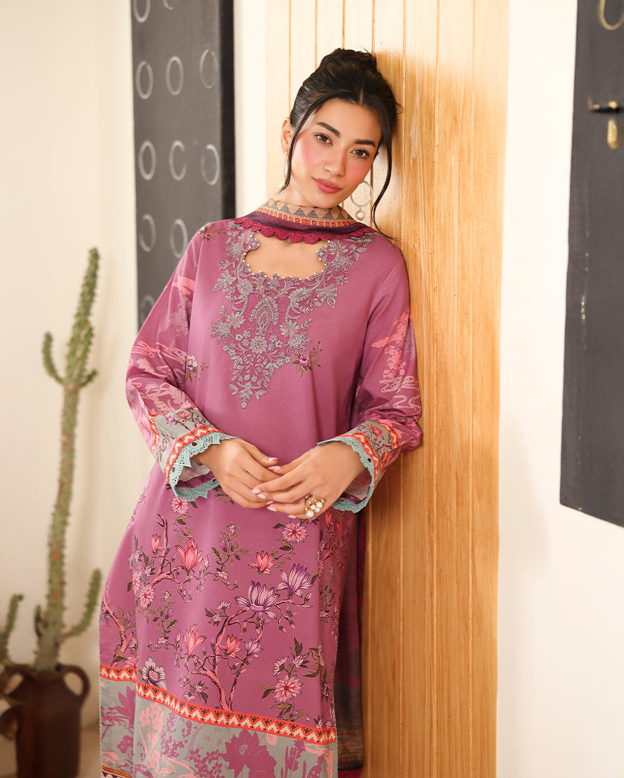 Nabeeha - Roheenaz